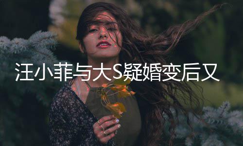 变后疑婚又出俏江欺诈大S告其汪小家怒南买事菲与