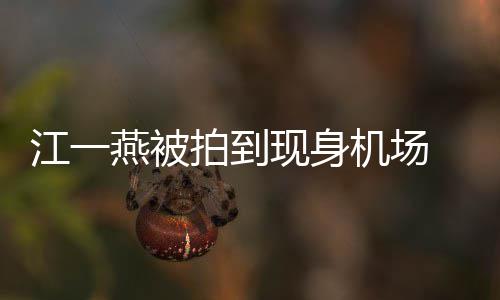 边还燕被有一婴儿引热议个一现身江一机场拍到 身岁多
