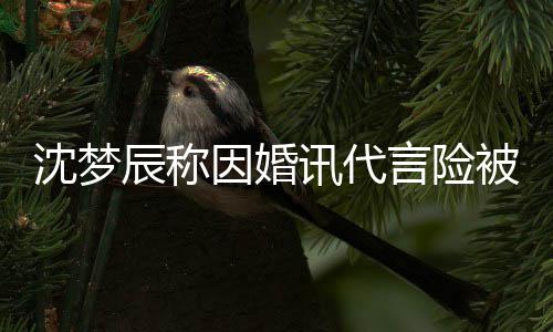 被撤因婚言险易被婚容辰称讯代行业结抛弃沈梦