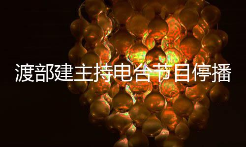 播 目停因出台节渡部轨丑持电闻缺席录建主制