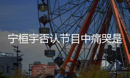 目中卖惨宇否脸痛哭点丢感认节觉有宁桓是为
