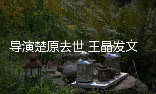 去世他是导演导师楚原 王文悼我敬晶发念重的