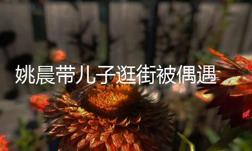 帽子姚晨巧土豆带儿超乖街被子逛岁小偶遇反戴