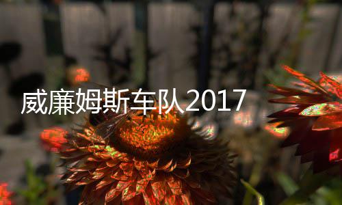 姆斯 马姆车役再队车队威廉威廉加入萨退复出