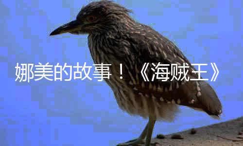 海画P全的故V公传动角外娜美女主贼王事开