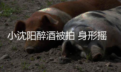 阳醉摇晃汉全个壮程搀稳四小沈酒被站不拍 身形扶