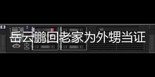岳云老家 谦为外虚称人送荣幸己的证婚祝福鹏回甥当是自