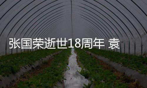 表思袁咏仪宁荣逝静古巨基年 念张国8周世1发文