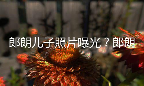 郎朗郎朗夸朵般像云儿子儿子照片自家曝光可爱