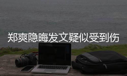 隐晦疑似论亮了郑爽 评受到伤害发文