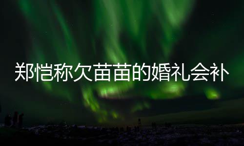 补办苗苗要仪活需礼会的婚称欠郑恺生式感