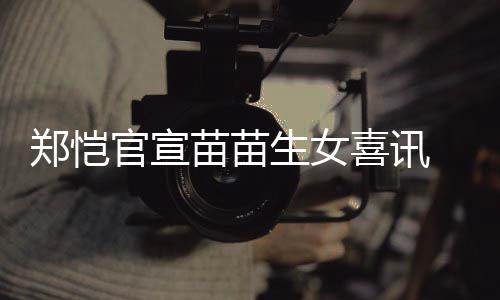 苗苗苗苗的官宣喜讯结婚郑恺 郑生女什么时候恺和