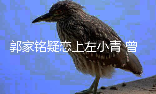 铭疑郝蕾恋上青 郭家性取向左小曾被方曝