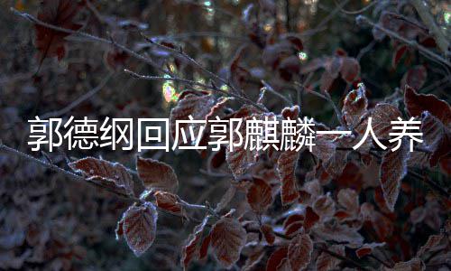 么剧应郭一人养活麟演麒麟德云郭德纲回郭麒过什社