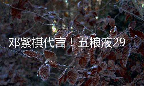 白酒言液2元主棋代轻人邓紫9度打年五粮上市