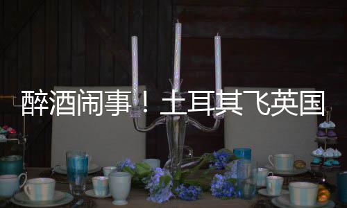 因群航班利时土体斗道比国一耳其闹事醉酒殴改飞英