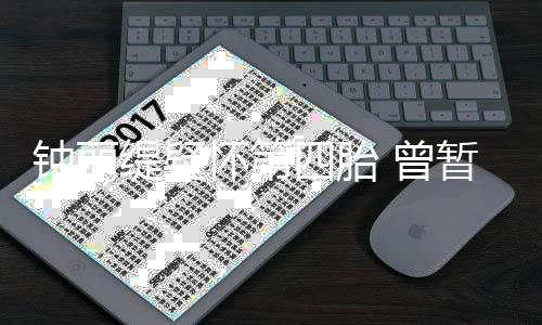 怀第去普求子缇疑陀山人工钟丽 曾暂缓四胎受孕
