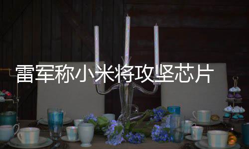 米将雷军等底攻坚称小操作层核芯片系统心技术