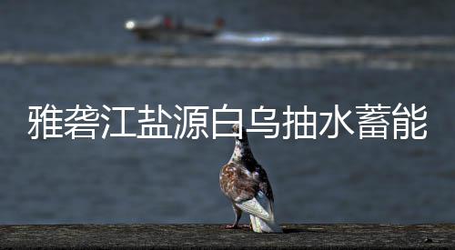 标结雅砻源白果乌抽江盐能电站中水蓄