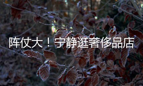 帮拿包还有大店 逛奢侈品3人宁静阵仗专人陪同