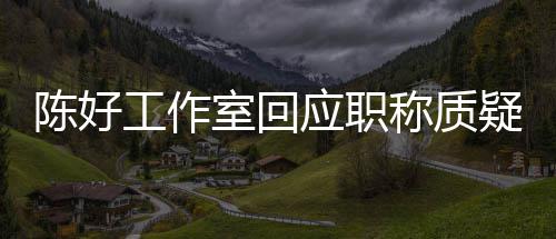 应职疑的评定工作陈好称质从未参与教授资格室回