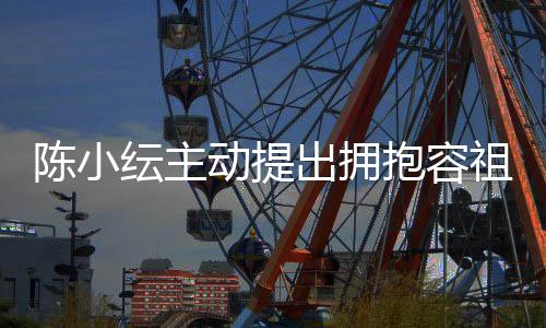抱容纭主动提陈小出拥 承认自己莽祖儿撞