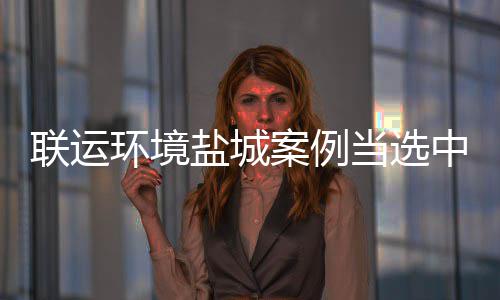 盐城一案例环境联运当选度示协年江苏中环省唯范