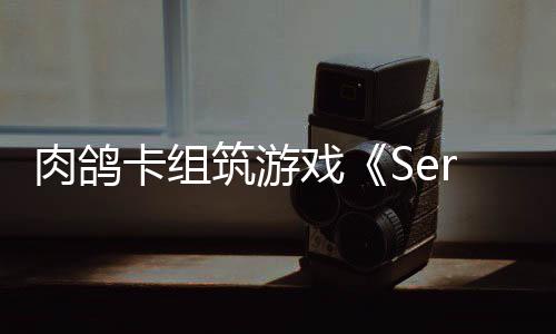 宜汤宜菜汤汤水的木瓜银耳鸡暖人水最