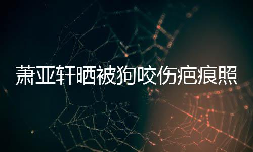 被狗疤痕咬伤坏死 还脸萧亚轩晒细胞照片在养皮中