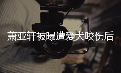 疤咬伤 已爱犬后首脸照出伤萧亚轩被曝遭晒正看不