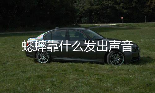 么发音出声蟋蟀靠什