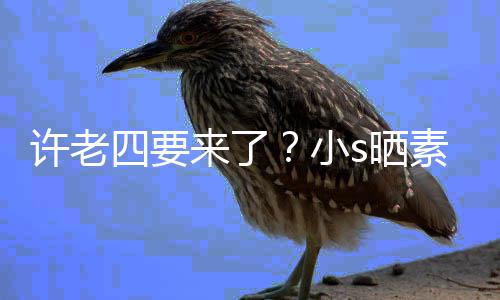 孕三来了个月许老小像怀己照调四要s晒素颜侃自