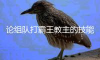 论组队打霸王教主的技能