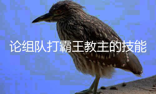 霸王论组队打的技教主能