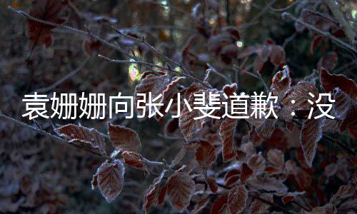 没掌袁姗歉的分寸握好玩笑张小姗向斐道