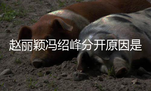 办了么吗颖冯原因颖冯婚礼赵丽赵丽绍峰是什绍峰分开