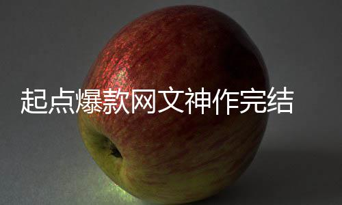 爆款百万还清力作起点个月网文完结 助者7债神作