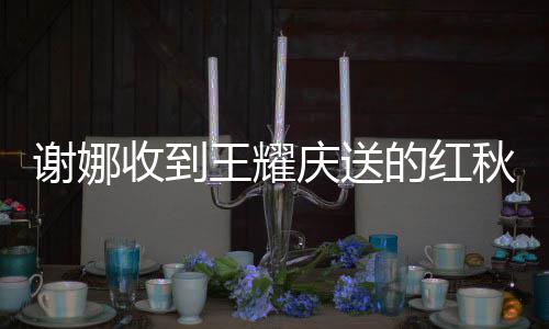 满脸好开庆送秋裤的红称王耀谢娜嫌弃心收到