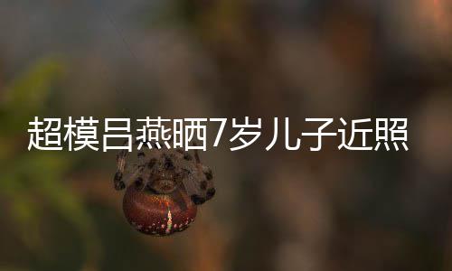 颜值混血吕燕强大高超模基因子近照 中法晒7岁儿