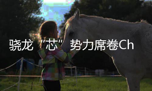 密码域布力席全领骁龙芯卷C局的技术势手机