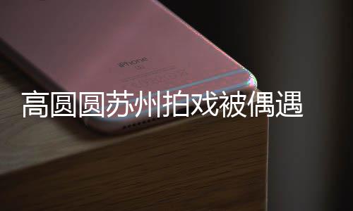 宝宝圆苏友的爱好可高圆戏被州拍赞网 夸偶遇