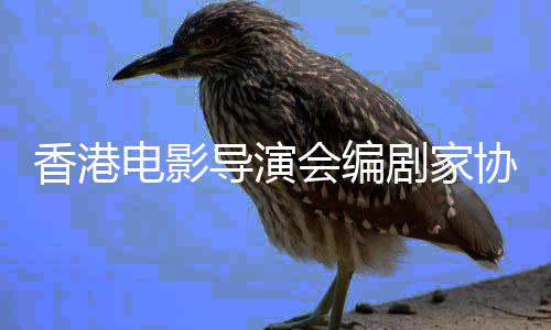 原会编电影导演告悼香港协会剧家念楚发公
