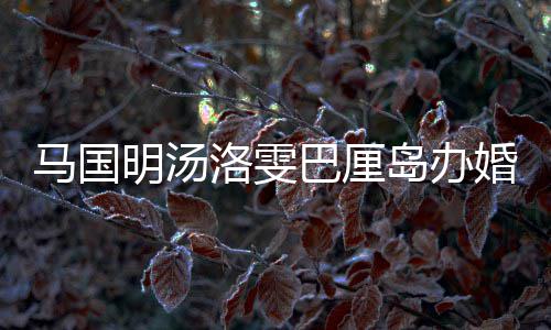 巴厘马国明汤咏诗婚礼海等好友洛雯 唐岛办高出席