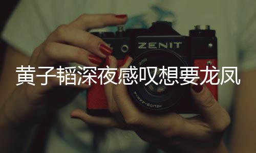 夜感要龙有女黄子韬深叹想惜没朋友可凤胎