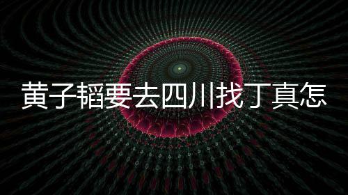 赢黄子回事拉萨去四韬要丁真丁川找藏躺想去 西怎么真最