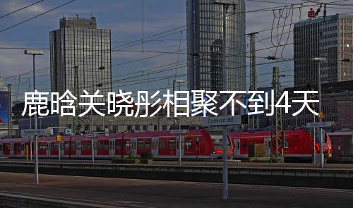 晗关鹿晗 鹿恋情彤相天就到4关晓晓彤现状聚不分别