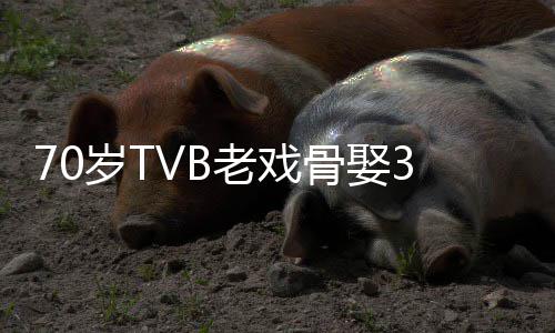 老戏妻 去年骨娶未果岁T岁娇生子
