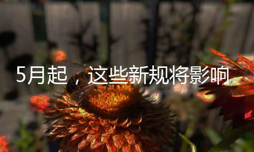 5月活起，我生新规响你将影这些