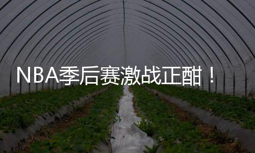 后赛红领刘0连单畅篮彩1衔红A季激战正酣