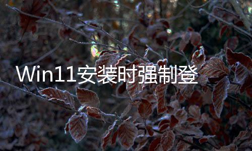 也讨厌这1安强制登录 微我软副装时账户总裁